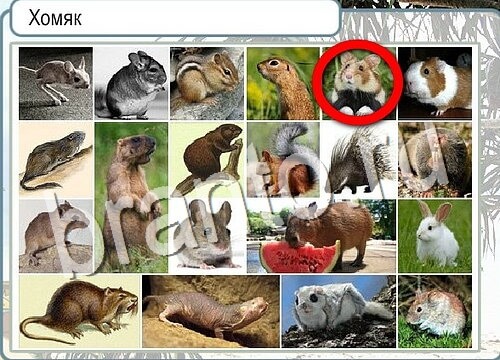 ответы к игре Горячо-Холодно Уровень 3635 Московский Кремль