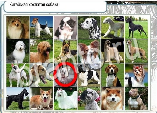 Горячо-Холодно игра ответы Уровень 3643