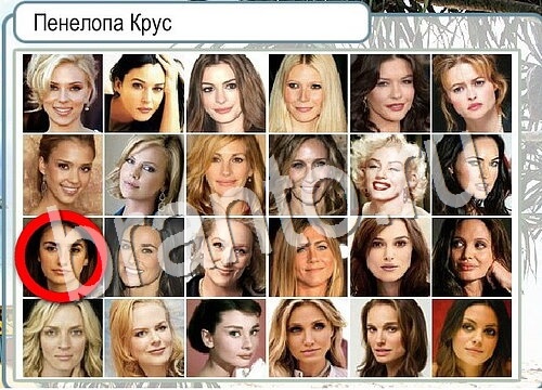 Игра Горячо-Холодно ответы Уровень 3647 бабочка Адмирал