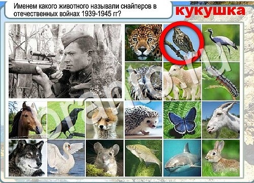 Решения на игру Горячо-Холодно Уровень 3663 автор Мёртвые души фото