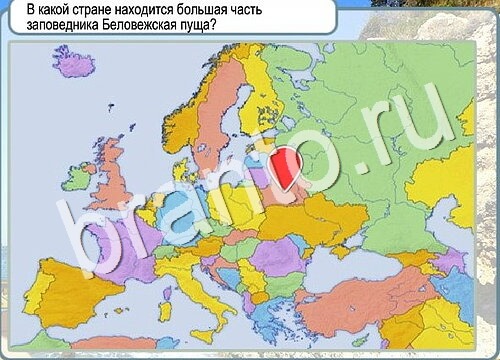 Горячо-Холодно игра ответы в одноклассниках Уровень 3667 Многоцветный лорикет