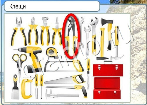 Горячо-Холодно решения Уровень 3672 Пищевод