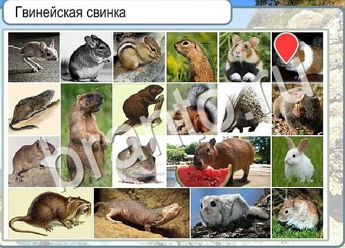 Горячо-Холодно игра ответы Уровень 3673