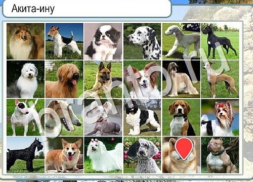 Игра Горячо-Холодно ответы Уровень 3677 бабочка Адмирал