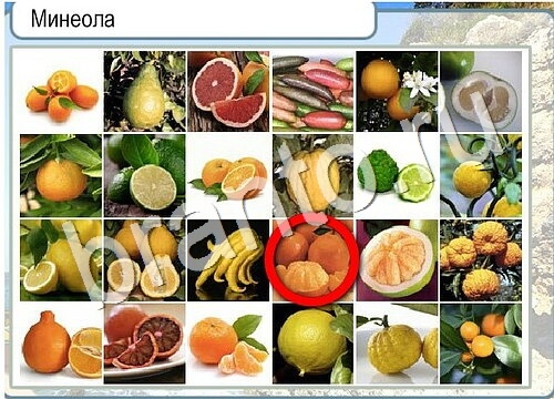 Горячо-Холодно игра ответы Уровень 3683 гладить при 150