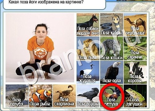 Горячо-Холодно игра подсказки Уровень 3684 знак родившегося 8 марта