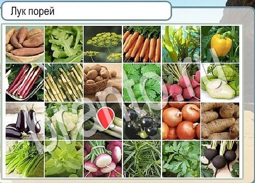 Помощь на игру Горячо-Холодно Уровень 3694 Кузя