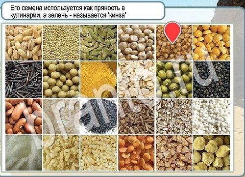 Горячо-Холодно игра ответы Уровень 3703