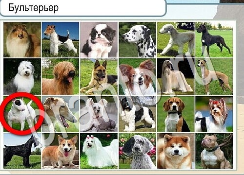 Горячо-Холодно игра помощь Уровень 3705 Наташа Королёва