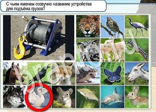 Горячо-Холодно ответы в картинках Уровень 3706 Черногория