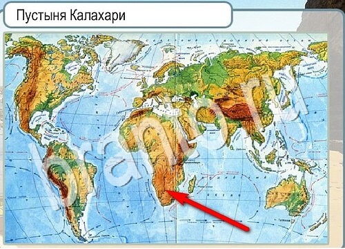 Игра Горячо-Холодно ответы Уровень 3707 бабочка Адмирал