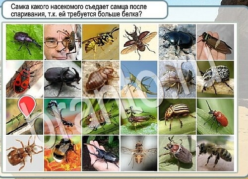 игра Горячо-Холодно помощь Уровень 3709