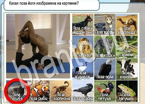 игра Горячо-Холодно помощь Уровень 3719 высота Олимпа