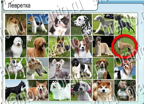 Горячо-Холодно игра помощь Уровень 3735 Наташа Королёва