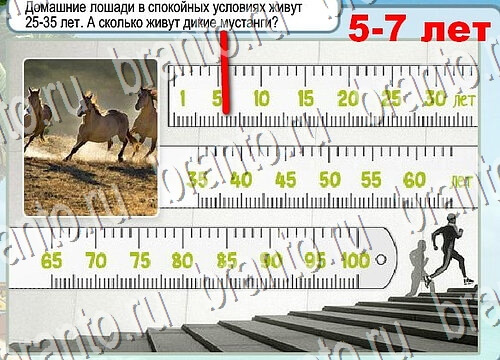 Игра Горячо-Холодно подсказки Уровень 3738 рыба лещ