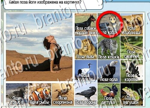 Горячо-Холодно игра помощь Уровень 3745 укажите марку авто