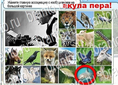 Помощь на игру Горячо-Холодно Уровень 3754 Кузя