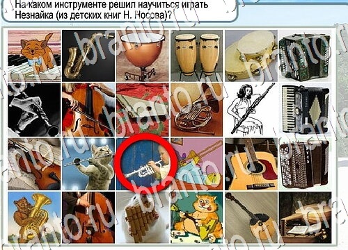 Горячо-Холодно игра ответы в одноклассниках Уровень 3757 Многоцветный лорикет