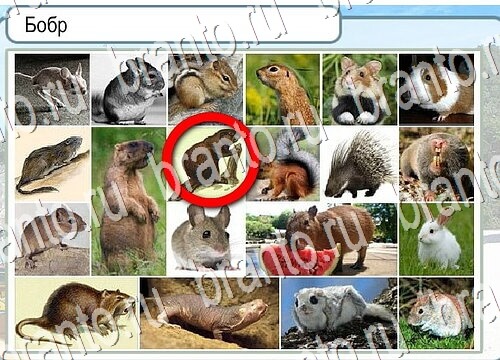 Горячо-Холодно игра подсказки Уровень 3764