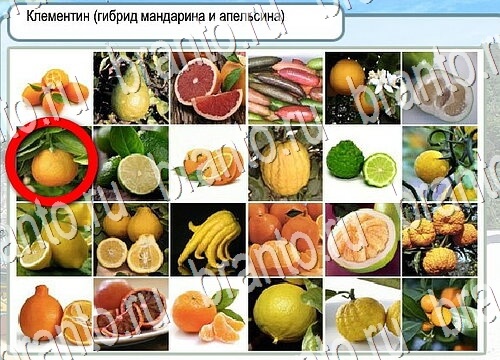 игра Горячо-Холодно помощь Уровень 3769