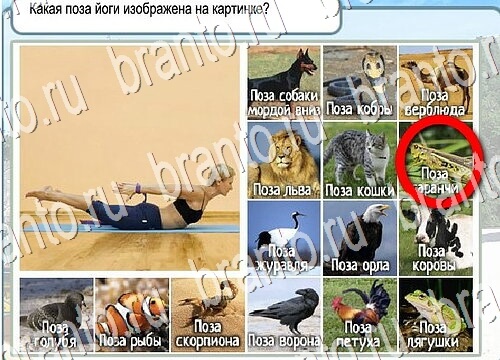 Горячо-Холодно игра помощь Уровень 3775 укажите марку авто