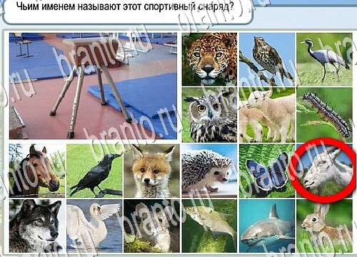 Подсказки Горячо-Холодно Уровень 3782