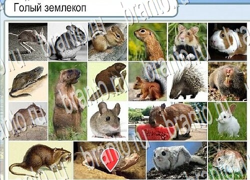 Решения на игру Горячо-Холодно Уровень 3783 автор Мёртвые души фото