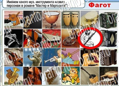 Горячо-Холодно игра ответы в одноклассниках Уровень 3787 Многоцветный лорикет