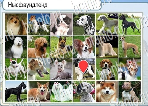 Горячо-Холодно игра ответы Уровень 3793