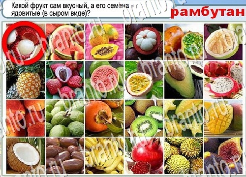 Горячо-Холодно игра подсказки Уровень 3794