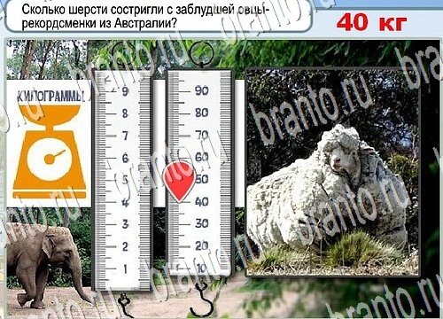 Горячо-Холодно игра ответы Уровень 3803 гладить при 150