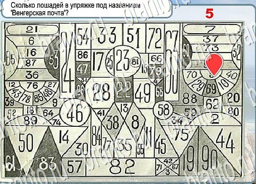 Горячо-Холодно игра помощь Уровень 3825 Наташа Королёва