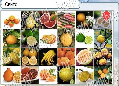 Горячо-Холодно ответы в картинках Уровень 3826 Черногория