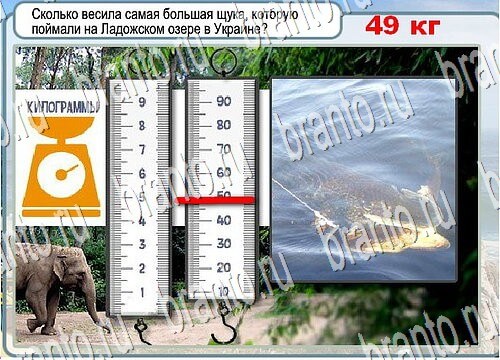 Горячо-Холодно игра ответы Уровень 3833 щука