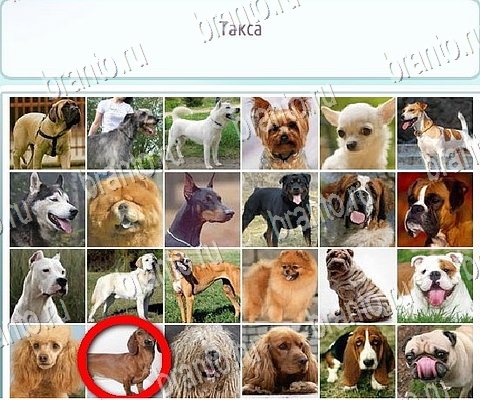 ответы на игру Горячо-Холодно-2 в одноклассниках Уровень 91