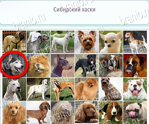 Горячо-Холодно-2 решения Уровень 103