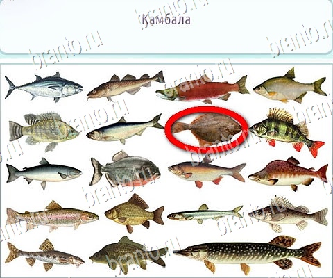 Горячо-Холодно-2 игра в одноклассниках помощь Уровень 106