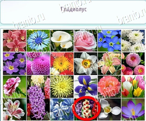 Горячо-Холодно-2 игра ответы Уровень 114