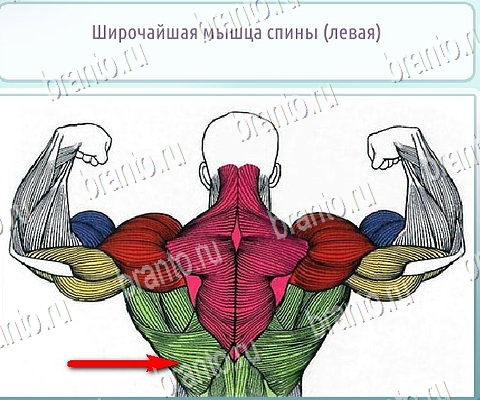 Горячо-Холодно-2 игра подсказки Уровень 115