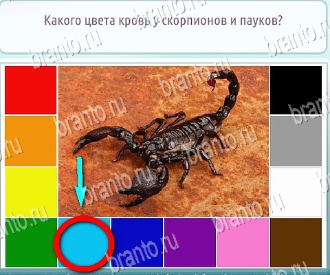 Горячо-Холодно-2 игра помощь в контакте Уровень 116