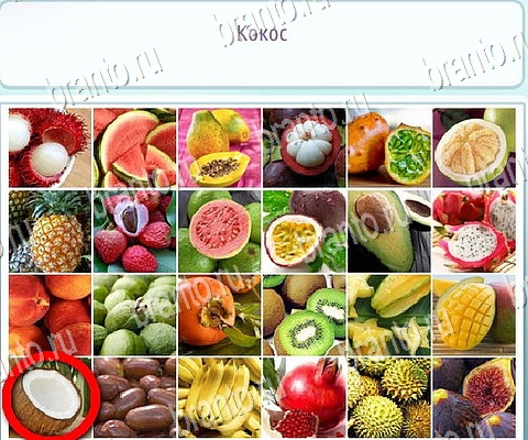 Горячо-Холодно-2 игра ответы в одноклассниках Уровень 128