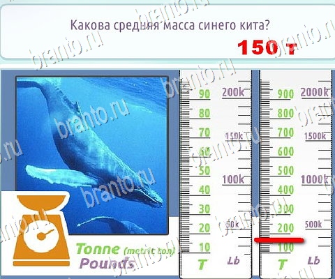 Горячо-Холодно-2 подсказки в контакте Уровень 130