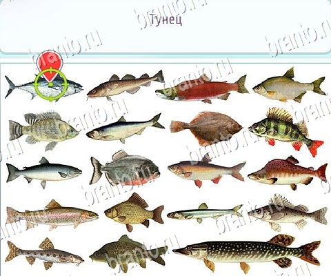 Горячо-Холодно-2 игра ответы Уровень 134