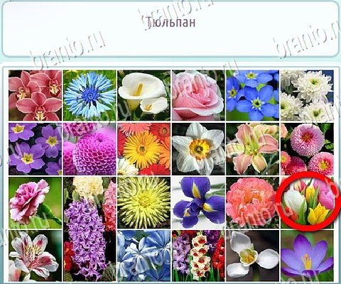 Горячо-Холодно-2 игра ответы Уровень 144