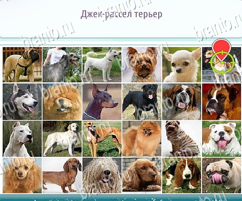 Горячо-Холодно-2 игра помощь в контакте Уровень 146