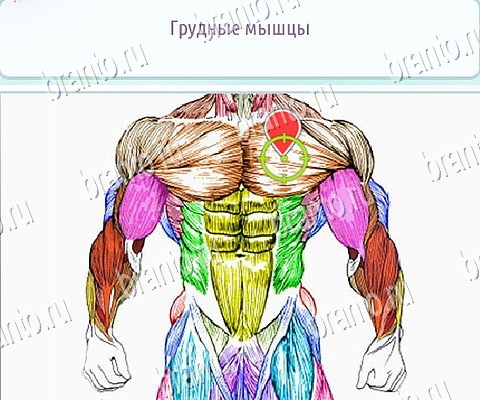 Горячо-Холодно-2 решения Уровень 163