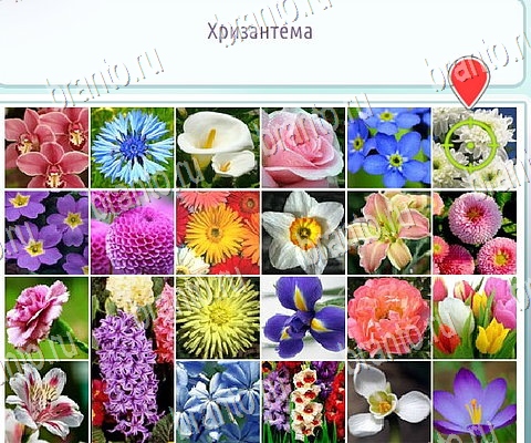 решебник на игру Горячо-Холодно-2 Уровень 172