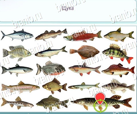 Горячо-Холодно-2 игра ответы Уровень 174