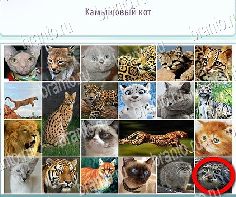 Решения на игру Горячо-Холодно-2 в контакте Уровень 184