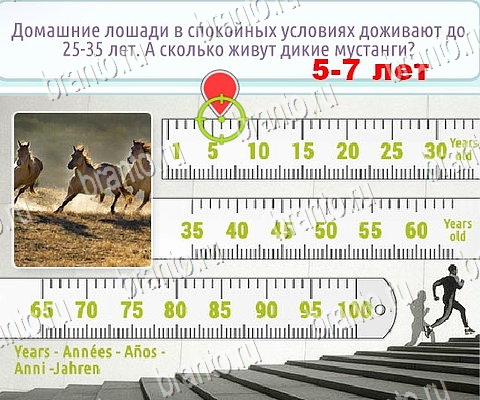 игра Горячо-Холодно-2 помощь ВК Уровень 200